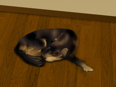 Dog dog illustration