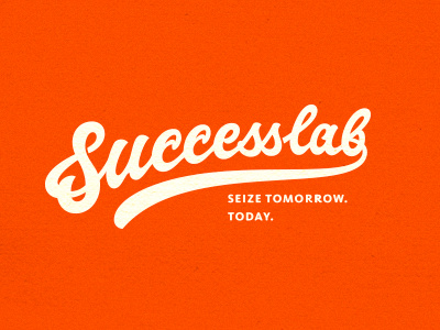 Successlab carrot custom hand drawing hand writing lettering logo orange script scripty swoosh typography writing