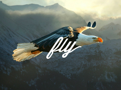 Fly High
