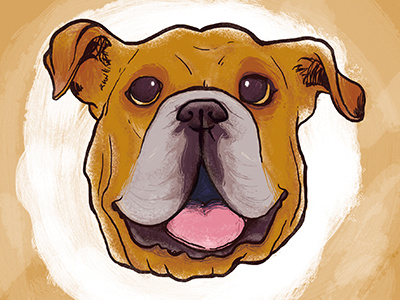 Orange Pup bulldog color dog doggy drawing illustration illustrator orange pup texture