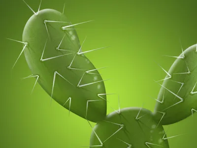 Cactus cactus graphicdesign green icon icondesign icons illustration plant realistic texture ui