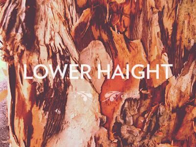 Lower Haight Tree lower haight sf texture tree
