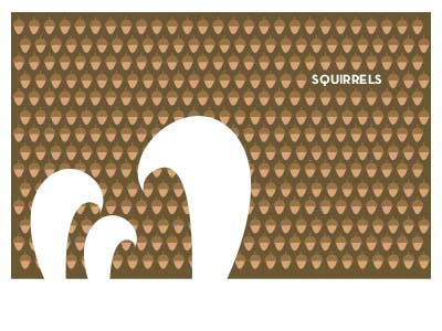 Squirrels design graphic design illustration squirrels tails