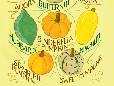 Winter Squash 2 hand lettering illustration typography