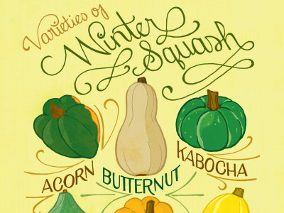 Winter Squash hand lettering illustration typography