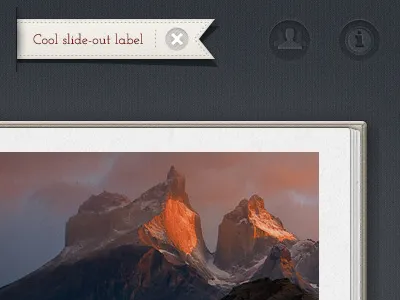 Book Chrome book fabric icons label sash ui