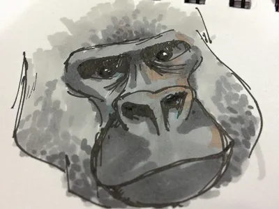 Gorilla drawing gorilla sketch