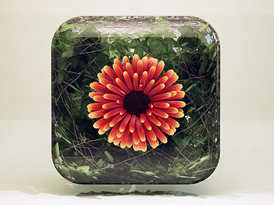 Flower 3d app design flower icon ios photoshop webshocker