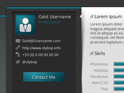 Profile Dashbord avatar bar contact dashbord design form icon interface profil profile skill ui webui