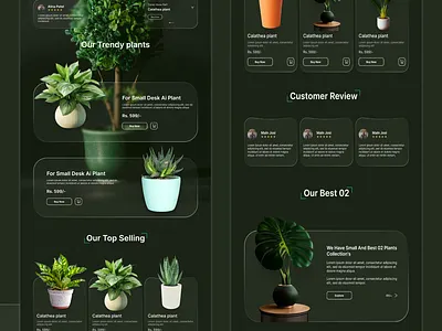 Plant landing page. adobe xd app design canva design figma graphic design landing page photopea plant product design ui uiux design ux web design website design