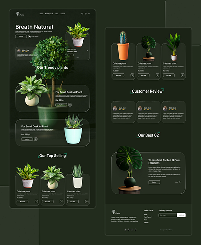 Plant landing page. adobe xd app design canva design figma graphic design landing page photopea plant product design ui uiux design ux web design website design