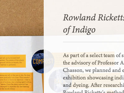 Text and project detail shot font styles text website