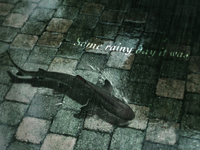 Waaait, whut? Shark? photo photomanipulation rain shark