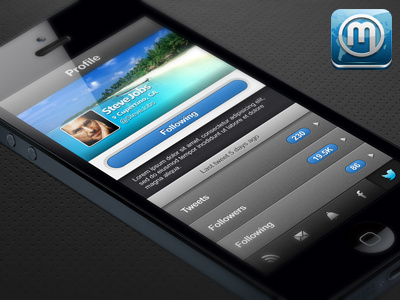 SocialMe for Facebook & Twitter apps facebook feeds gui ios ios icon ipad iphone ipod touch socialme twitter ui ux