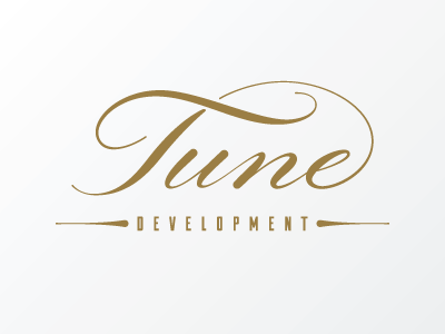 Tune Development hand drawn program script tune web