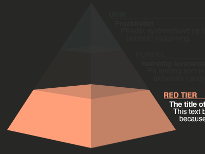 Infographic infographic presentation pyramid vector