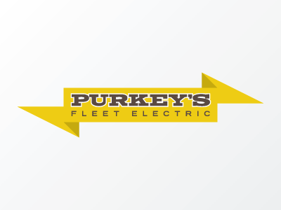 Purkey's 01 banner electric lightning