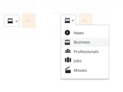 EnteCity.com / search options drop down form search