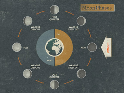 Moon phase diagram. design diagram info graphic moon quoss quoss.co texture