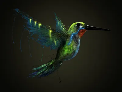 Hummingbird 3d bird hummingbird illustration photoshop render vray