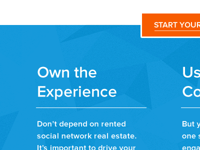 Own the Experience blue button header orange proxima nova