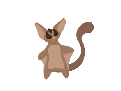 Heidi character illustration sugar glider