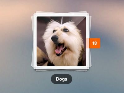 Dog [CSS] album css css3 dabblet fiddle freebie photos rebound ui