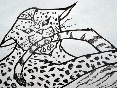 The other bad kitty - inked cat gigposter ink jason taylor kitty leopard pen screenprint