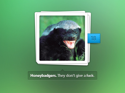 Honey Badger album badger blue clean gallery green honey photo playoff rebound ribbon tooltip ui