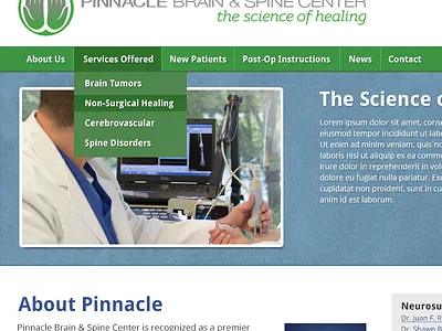 Pinnacle Brain & Spine Center blue design droid sans green science