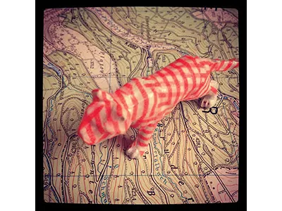 Endangered Tiger brooch endangered experiment handmade masking tape tiger
