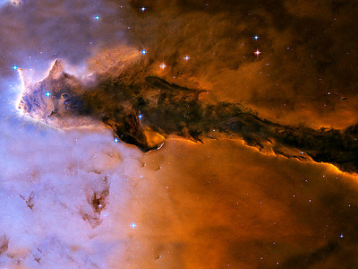 Big fish swimming in space fish nasa space uk