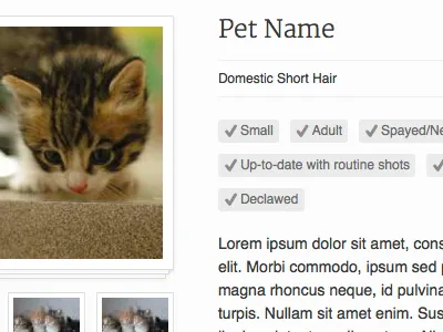 Rescue animal shelter cats pets wordpress