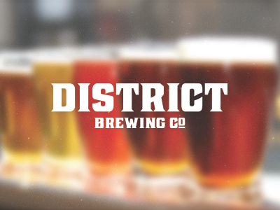 District Branding beer brand word mark