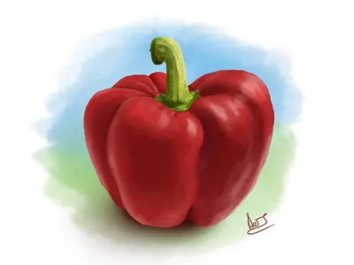 Pepper bamboo decean digital digital painting illustration nelutu painting pepper photoshop