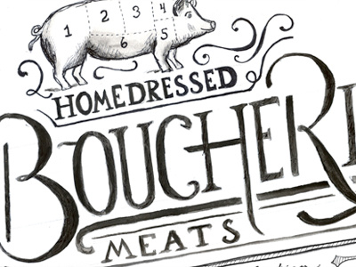Boucherie - Watercolor Sketch boucherie food handdrawn lettering pig watercolor