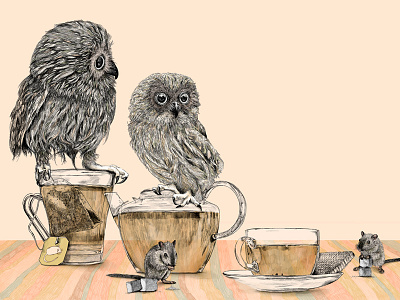 Owl&tea illustration owl tea