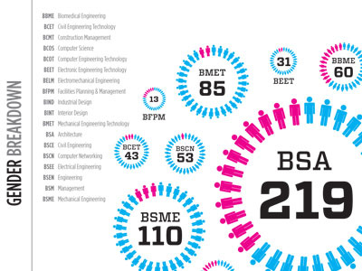 Gender Breadkdown by Major Infographic