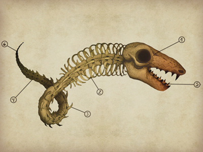 Ampikyy skeleton ampikyy animal creature illustration monster snake bee