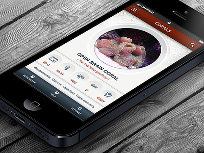 Coral Reference Guide - iPhone App app coral design icons iphone mobile nav navigation reef saltwater tank ui