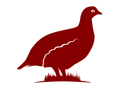 Red Grouse