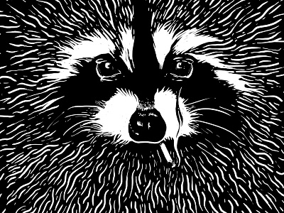 Raccool animal black and white cool illustration raccoon smoking