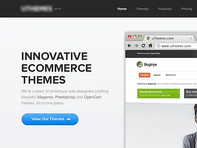 Innovative Ecommerce Themes blue button homepage landing shot ui