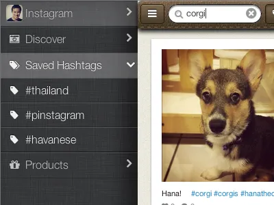 Pictacular Hashtags app brown ios tags web