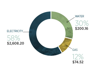 Energy Graph circle graph data graph info graphic visualization