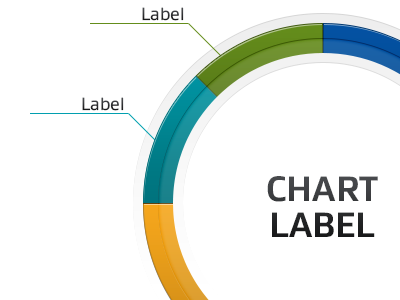 Circular Pie Chart graph infographic pie chart