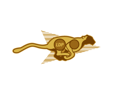Cheetah logo- final cat cheetah fast logo vector vroom yellow