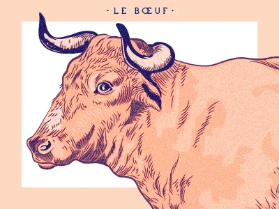 Le boeuf cow illustration le boeuf
