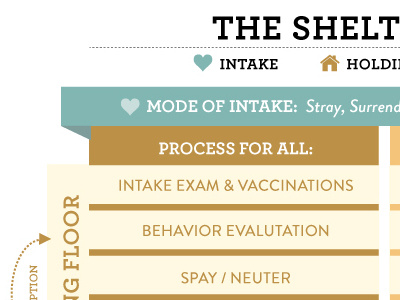 Cornell School of Veterinary Medicine animal shelters charts graphs infographic pet adoption print