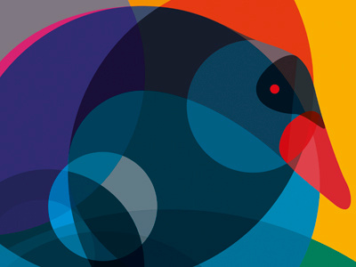 Black Swan 02 black swan circles colourful geometric overlay swan